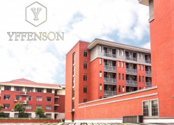 Новогоднее предложение от компании YFFENSON*: окрашивание краской собственного производства 