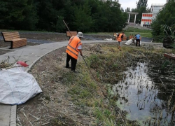Таганрогская роща «Дубки» продолжает преображаться