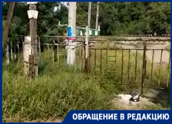 «Настоящий бардак», - таганрожец о ж/д переходе на рынке «Березка»