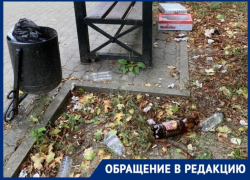 В помойку превращается территория у Мариинской гимназии