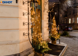 День Трифона: как таганрожцам провести 28 декабря с пользой по старинным заветам