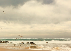 Выходные будут ветреные - прогноз погоды в Таганроге