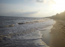 «Уникально, но сильно загрязнено»: ученые оценили концентрацию нефти на дне Азовского моря