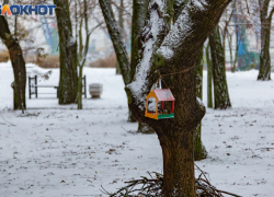 От весны к русской зиме за сутки: в Таганрог вернется мороз