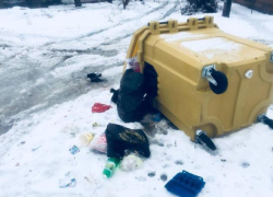 Экотранс не справляется с вывозом мусора  в Таганроге 