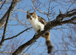Солнце, снег и дождь
