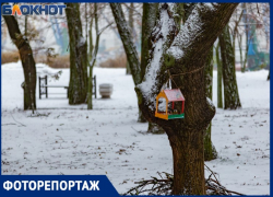 Зимние пейзажи в Таганроге