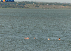 72-летняя женщина утонула в Таганроге на пляже «Тополёк»