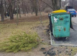 Таганрожцам грозит штраф за выброшенную не по правилам новогоднюю ёлку 