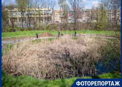 В Таганроге идёт реконструкция в роще Дубки