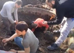 Таганрожцев приглашают на субботник в сад Руссо
