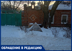 Одичавшие, но откормленные собаки пожирают заживо людей возле автошколы на Комсомольском в Таганроге