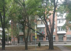 «Магия вне Хогвартса»: «парящая» ветка в воздухе на одной из улиц Таганрога