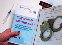 Год тюрьмы за поддельный сертификат о вакцинации грозит таганрожцам с 8 ноября