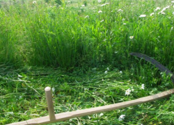 За нарушение правил благоустройства к ответственности  привлечено  ООО «Таганрогское ДСУ»