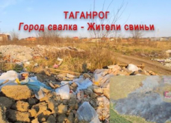 Житель Таганрога  назвал свиньями тех, кто вываливает мусор на окраине города