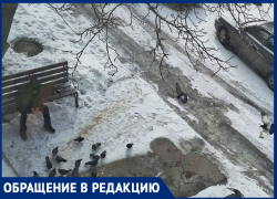 Таганрожцы падают как "коровы на льду" пока коммунальщики сыпят тонны реагентов