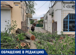 «Терпеть уже нет сил», -таганрожцы жалуются, что ремонт центральной улицы мешает им жить