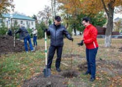 Руководители  Таганрога славно поработали в День древонасаждений