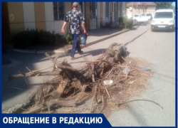 Больше недели лежит на дороге сухое дерево, но для администрации города «его там нет»