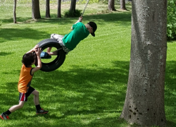 В Таганроге дети успеют вырасти: новые правила для детских площадок будут вводить в России 