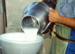 В Неклиновском районе задержали нелегальное молоко  