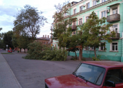 "Легкий бриз" свалил огромное дерево на Октябрьской площади в Таганроге 