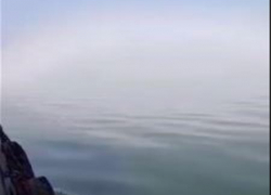 «Видишь, как Таганрог накрыло - Матушка Поднебесная хранит!»