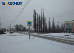 Сотрудники ГИБДД Таганрога обращаются к водителям и пешеходам