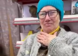 Сотни таганрожцев решили помочь женщине, которая спасает бездомных кошек