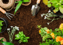 Стирать и брать грабли в руки: что можно и нельзя делать в день Конона Огородника, 18 марта