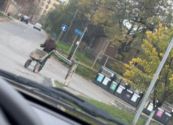 Садовая тачка вместо совести: таганрожец устраивает свалку растительных отходов у контейнеров