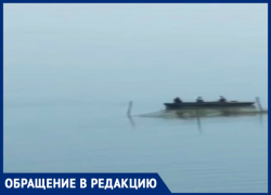 Браконьерам Таганрога и коронавирус не страшен