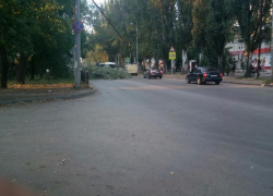 Упавшее дерево заблокировало проезжую часть в Таганроге