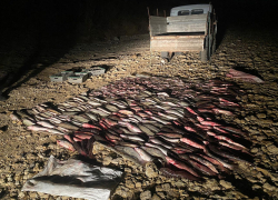 Под Таганрогом задержали мужчину с рыбой на 1.3 млн руб