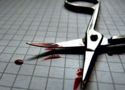 Шизофреник чудовищно зарезал ножницами свою мать в Ростовской области