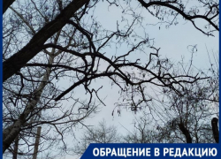 Размышления над безразличием чиновников Таганрога к проблемам жителей