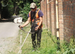 По словам главы администрации, в Таганроге за неделю скосили траву на 100 тыс.кв. метров территории 