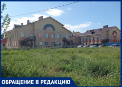 Сад, который построил губернатор, весь погряз в сорной траве