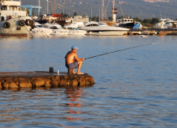 Снят запрет на рыбалку: где и как можно ловить рыбу в Ростовской области
