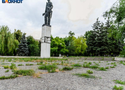 Более 60 деревьев и около 1000 кустов высадят на Северной площади Таганрога