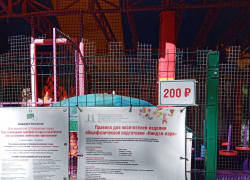 Сходить с ребёнком в парк на аттракционы для многих таганрожцев стало роскошью