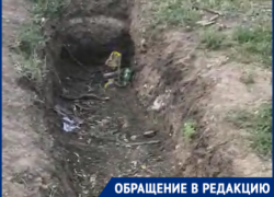 Могила и спиленные деревья - так выглядит в Таганроге детская площадка