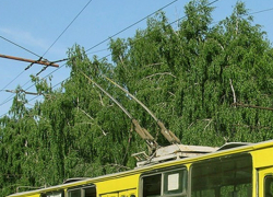 Таганрог обогатил «Липецкпассажиртранс», купив списанные липецкие троллейбусы за 3,5 млн рублей