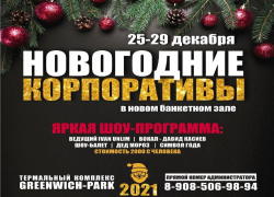 Новогодняя перезагрузка от термального комплекса GREENWICH-PARK*