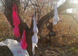 Забыли о нижнем белье побывавшие на свиданиях таганроженки