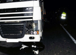 Неизвестного пешехода насмерть раздавила фура на трассе "Ростов-Таганрог"