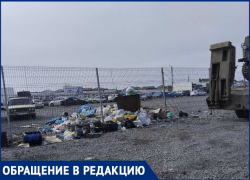 Территорию авторынка по улице Бериева превратили в свалку 