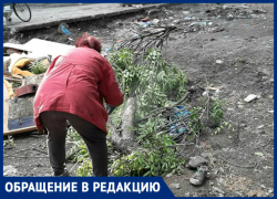 Таганрожцы никогда не научатся культуре бытия