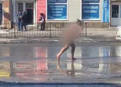 Женщину, которая голая бегала по Таганрогу, поместили в Дарагановку